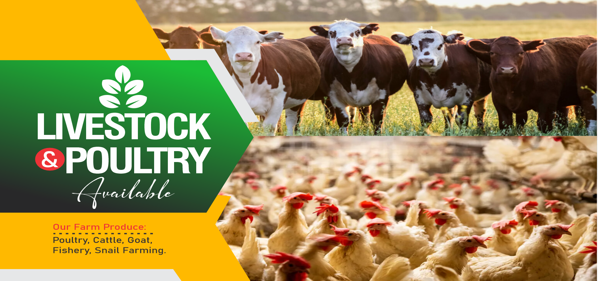 Livestock and Poultry